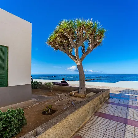 Apartment Palmera Sky Terrace *